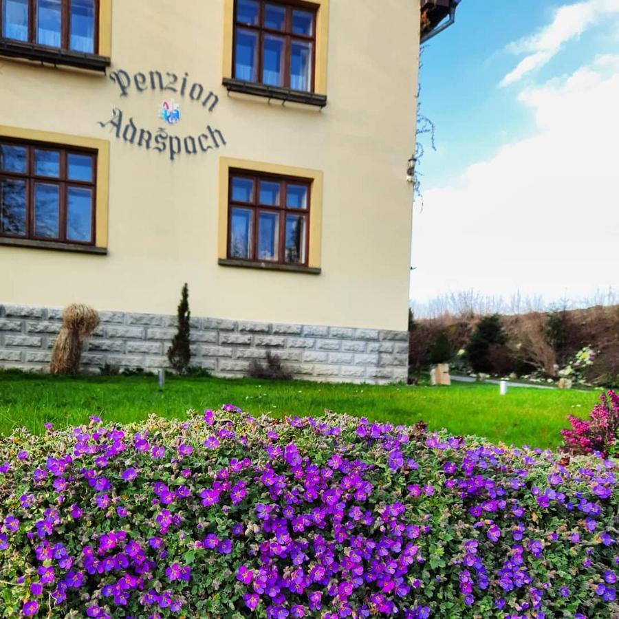 Penzion Adrspach U Bary Buitenkant foto