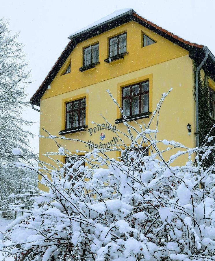 Penzion Adrspach U Bary Buitenkant foto